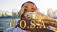 [󥿥ӥ塼]<br />ҥåץۥåפȤƤä褯줿顽C.O.S.A.Girl Queen