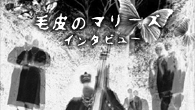 [インタビュー]<br />「消えかかった音楽の炎がポッと点火したんです」――新たなはじまりを告げる名盤！ 毛皮のマリーズの3rdアルバムが完成