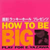 VA / ϥȥӡӥåץ쥤ե E.YAZAWA