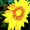 ղϺ ե󥰡С / So Nice(SUMMER SAMBA)