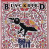 ԥå / Blackbird []