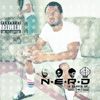 N.E.R.D.(ナード) - イン・サーチ・オブ… [CD] [廃盤]