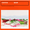 canna