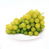 SirenPARABOLA