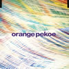 orange pekoe / ˳ĻBird of Paradise