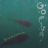 Gofish / songs for a leap year [楸㥱åȻ]