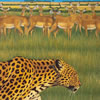 Fantastic Plastic Machine / zoo [CCCD]