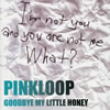 PINKLOOP  GOODBYE MY LITTLE HONEY