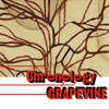 쥤ץХ  Chronology-a young person's guide to Grapevine-