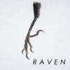 RAVENʾȰ