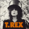 T.REX / 饤 [ȯ]