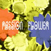 T-  Passion Flower