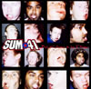 SUM 41 / 롦顼Ρե顼 []