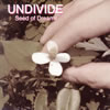 UNDIVIDE