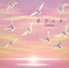 ٥ / θWelcome to Libera's World