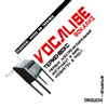 VOCALISE&nbsp;&nbsp;��������(�ƥ�ߥ�) [CD]
