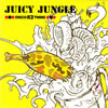 DISCO K2 TWiNS - JUICY JUNGLE [CD]