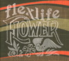 flexlife
