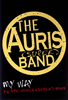 THE AURIS（SUPER）BAND