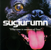 sugiurumn / What time is summer of love?