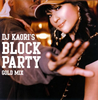 DJ KAORI / DJ KAORI'S BLOCK PARTY-GOLD MIX-