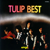 塼å / TULIP BEST ι []