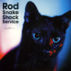   Rod Snake Shock Service