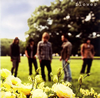 BACK-ON  flower