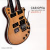 CASIOPEA Plays Guitar MINUS ONE MARBLE