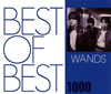 WANDS - BEST OF BEST 1000 WANDS [CD]