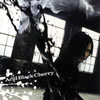 Acid Black Cherry / ߤθ