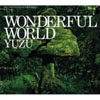 椺 / WONDERFUL WORLD [CD+DVD] []