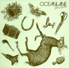 OCEANLANE / Fan Fiction [SHM-CD]