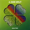 A SIDE SPLIT Vol.1grass field