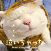 話題の“かご猫”ジャケットがインパクト大！のコンピ盤が登場
