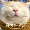 クリックすると大きな画像が表示されます
