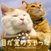 クリックすると大きな画像が表示されます