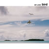 bird  MY LOVEҽвٸ