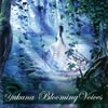 椫 - Blooming Voices [CD] []