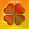 A SIDE SPLIT Vol.4sunrise field