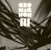 cro-magnon / 3