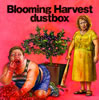 dustbox  Blooming Harvest