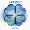 A SIDE SPLIT Vol.3snow field