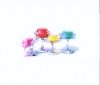 Ϳ / PRINTED JELLY [HQCD] []