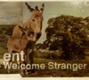 ent ／ Welcome Stranger