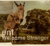 ent  Welcome Stranger