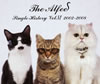 The Alfee / Single History Vol.6 2002-2008 [2CD]