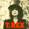 T.REX / 饤 [楸㥱åȻ] [SHM-CD] []