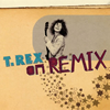 T.REX / T.REX on REMIX