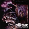 Chthonic（Symphonic Black Metal）